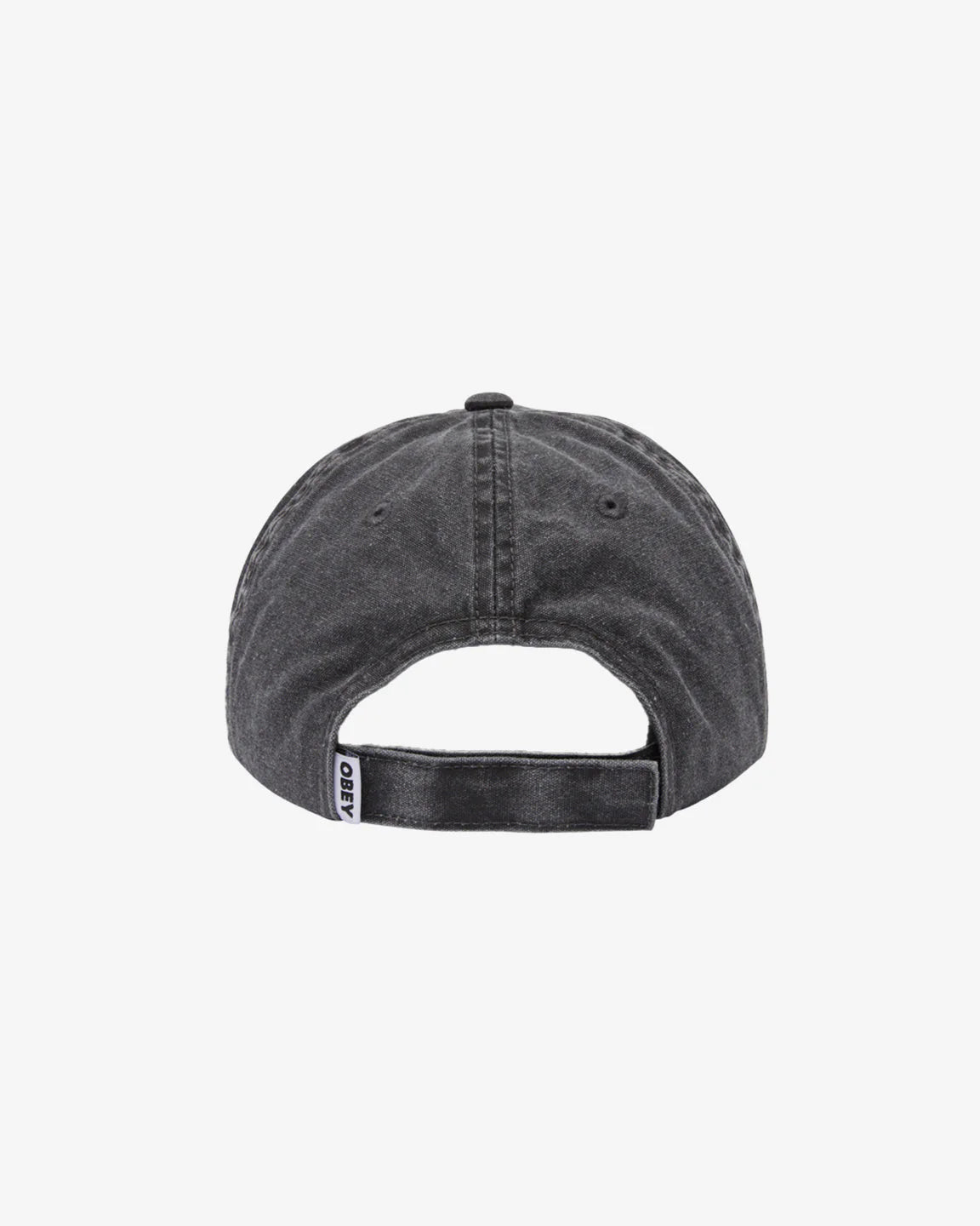 Icon Eyes Pigment 6 Panel Hat (Pigment Black)