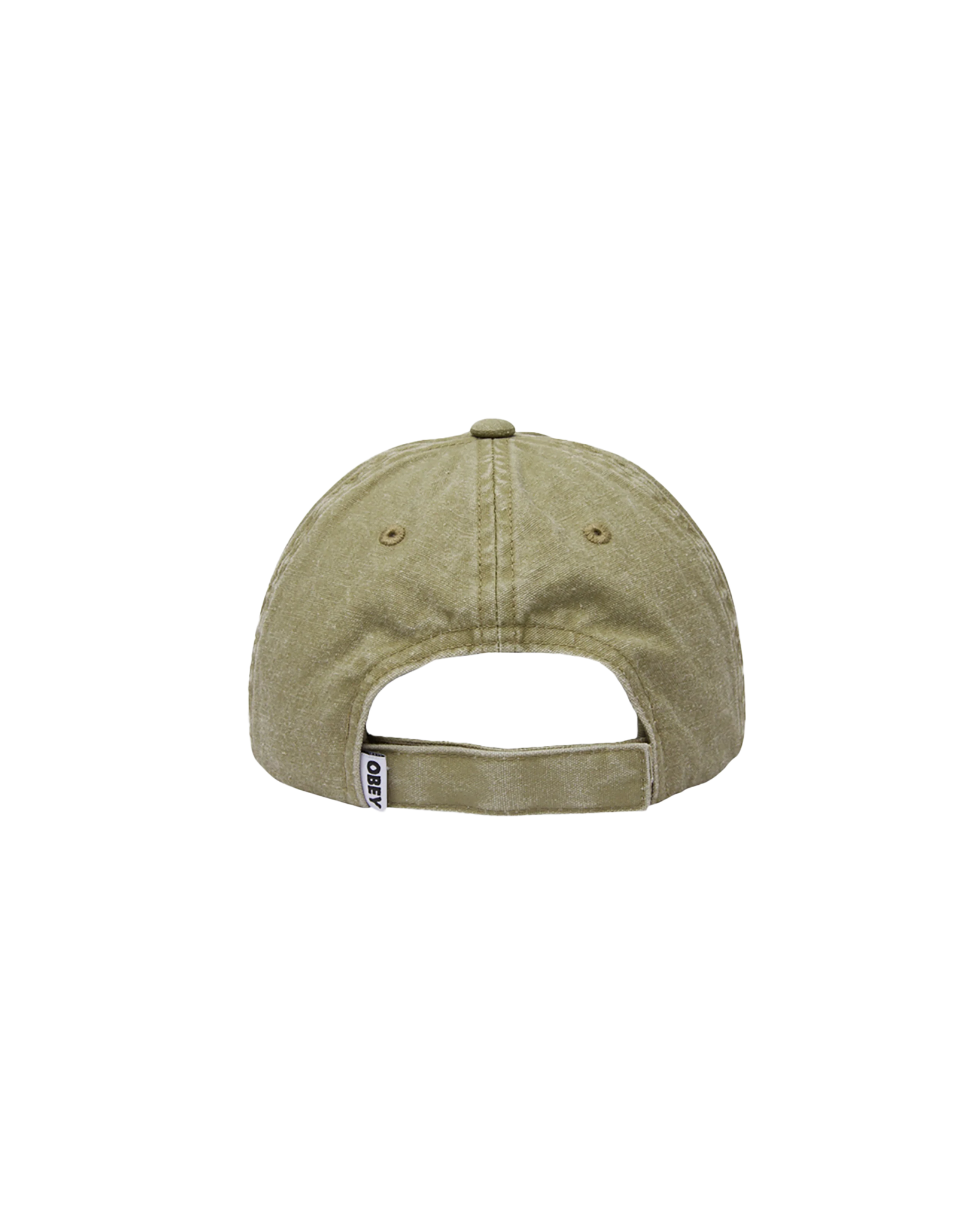 Icon Eyes Pigment 6 Panel Hat
