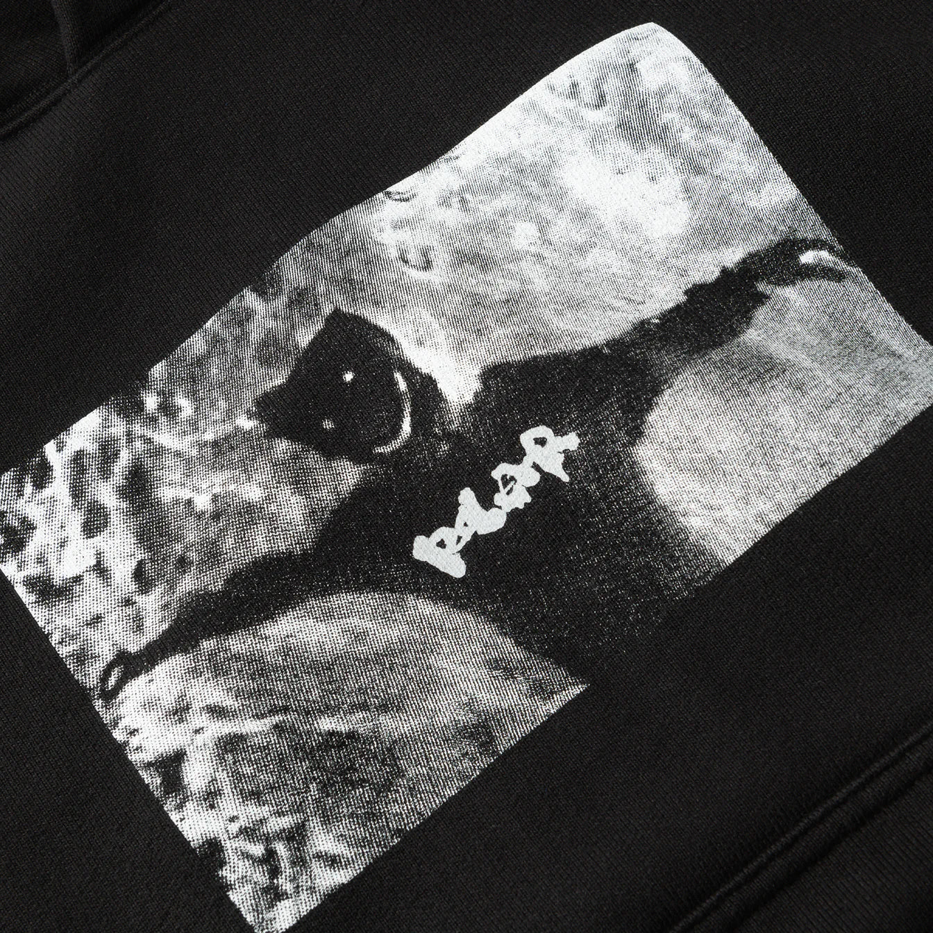 Polar Skate Ed Hoodie | Sustained Disintegration