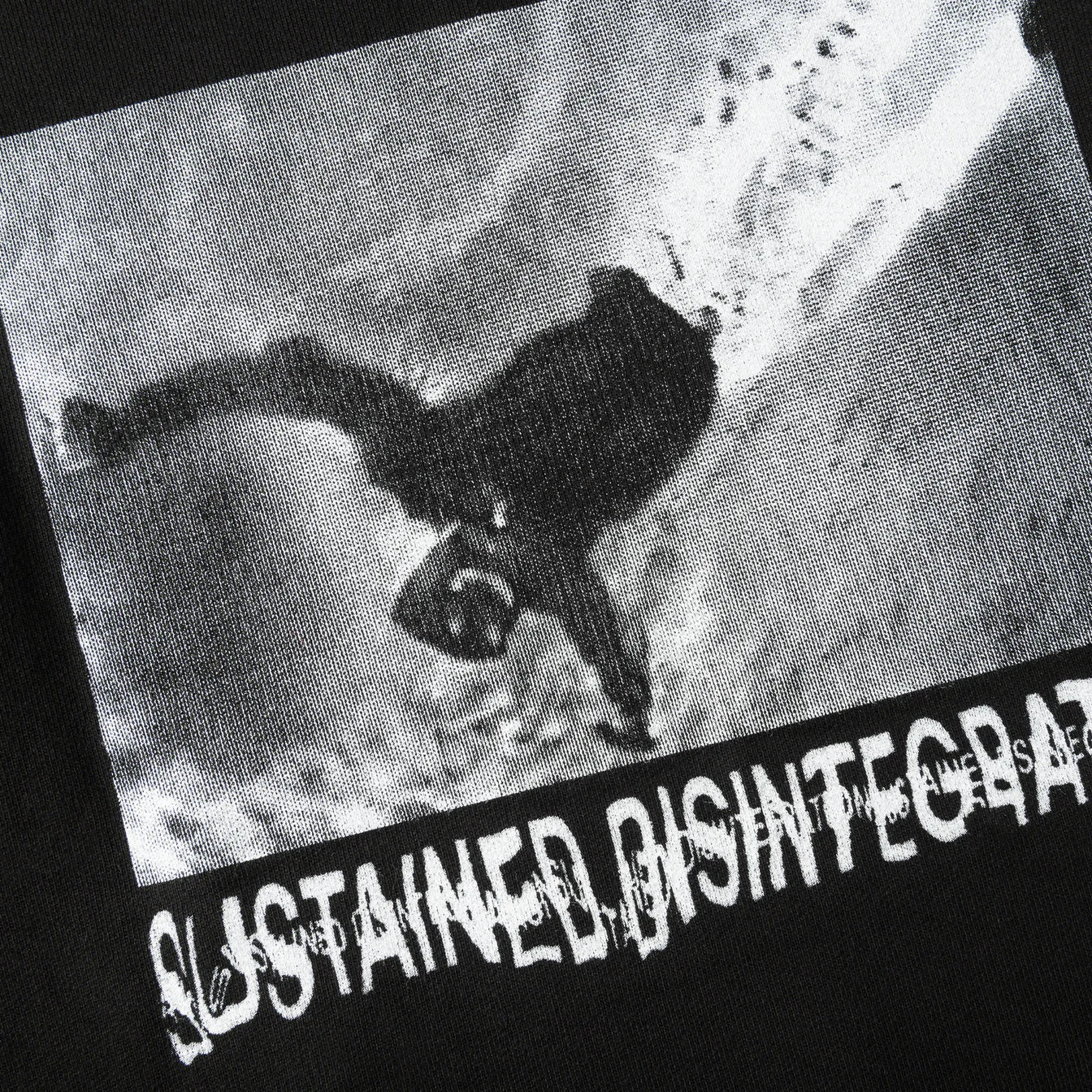 Polar Skate Ed Hoodie | Sustained Disintegration