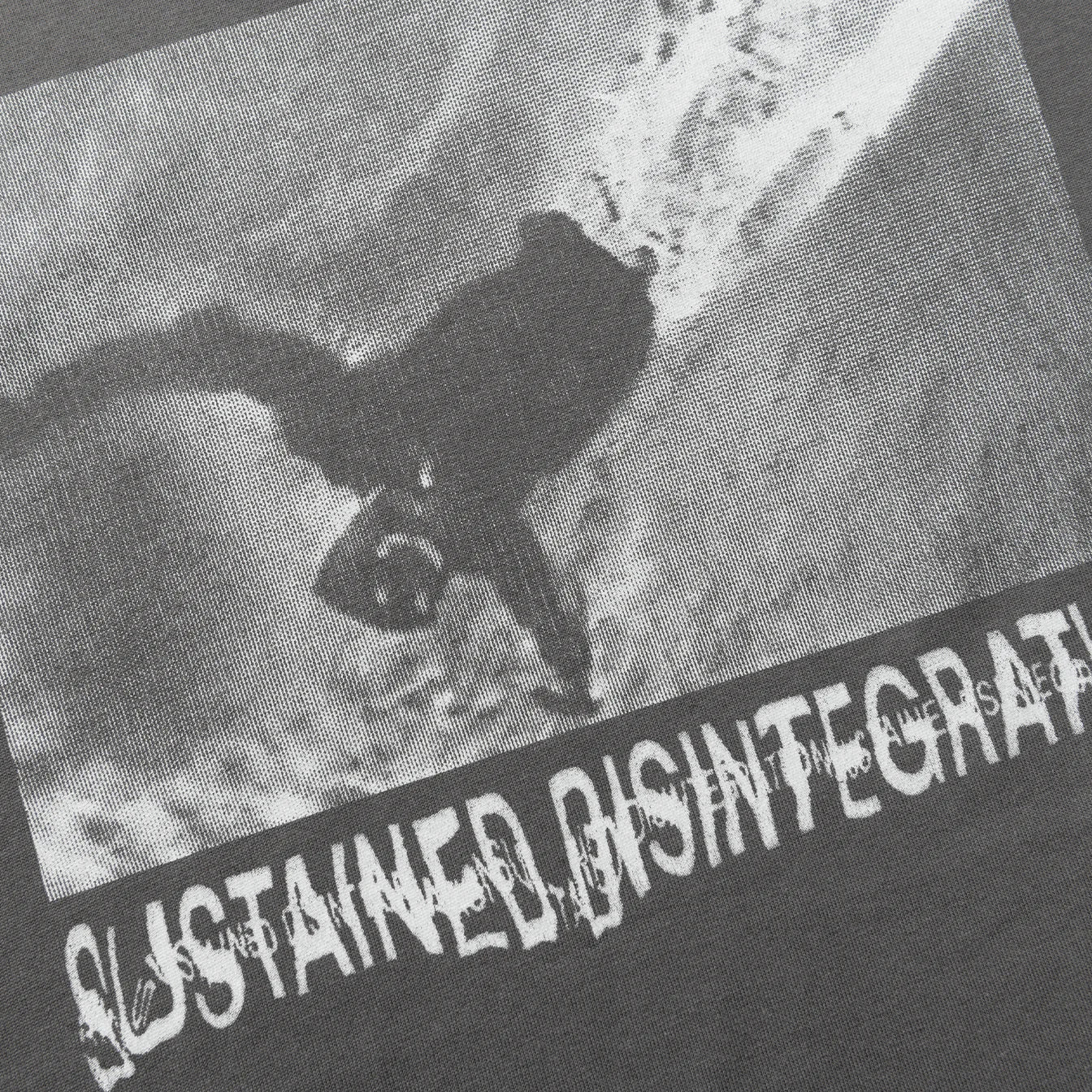 Polar Skate Tee | Sustained Disintegration