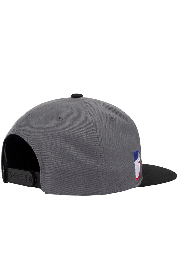 Team 2 Snapback F23 (Grey)